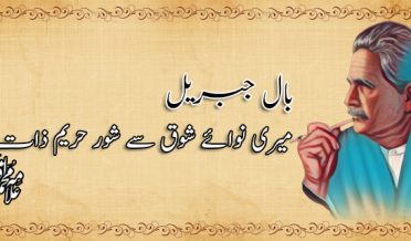 میں ہی تو اک راز تھا سینہء کائنات میں!