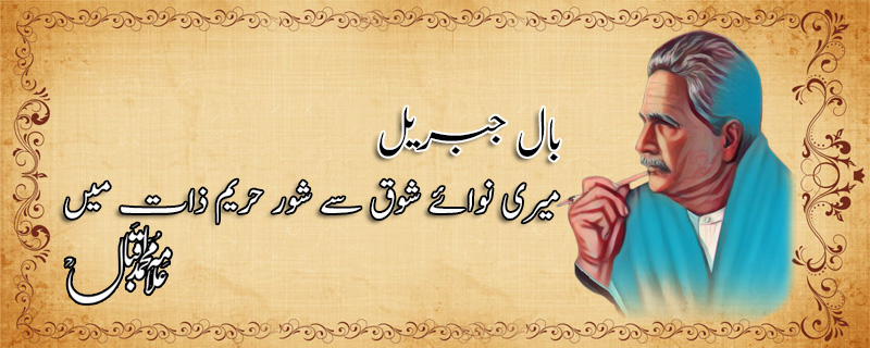 میں ہی تو اک راز تھا سینہء کائنات میں!